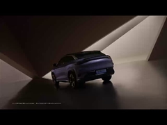 Sea Lion 07 EV 2024 550 con tracción a las cuatro ruedas Smart air versión 5 puertas 5 asientos SUV