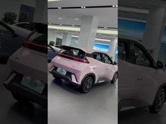Byd gaviota rosa